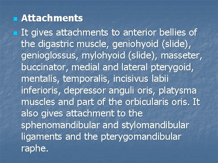 n n Attachments It gives attachments to anterior bellies of the digastric muscle, geniohyoid