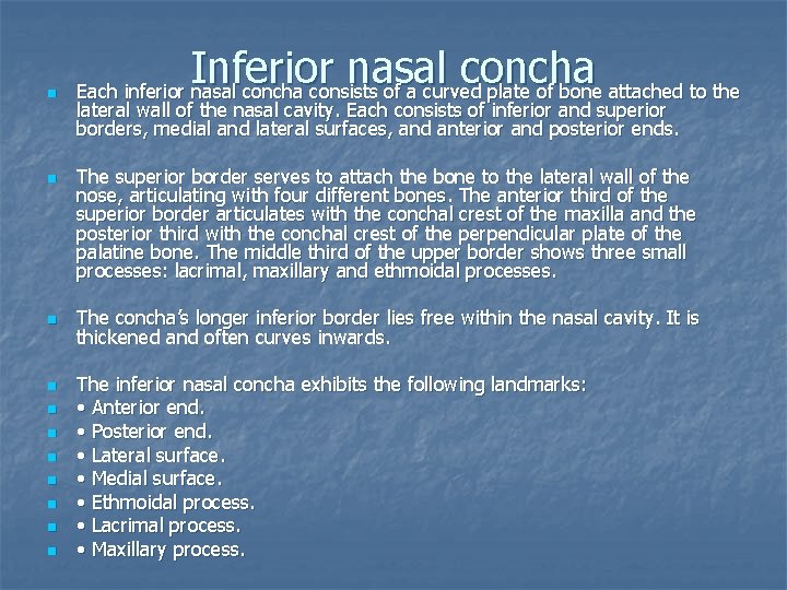 n n n Inferior nasal concha Each inferior nasal concha consists of a curved