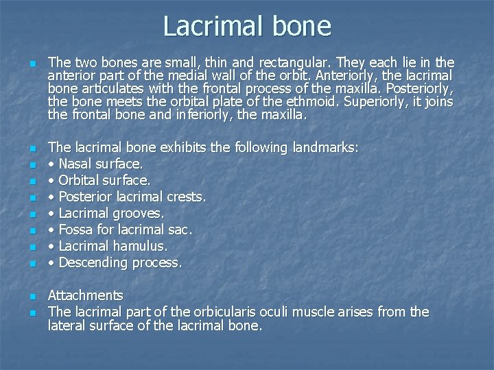 Lacrimal bone n n n The two bones are small, thin and rectangular. They