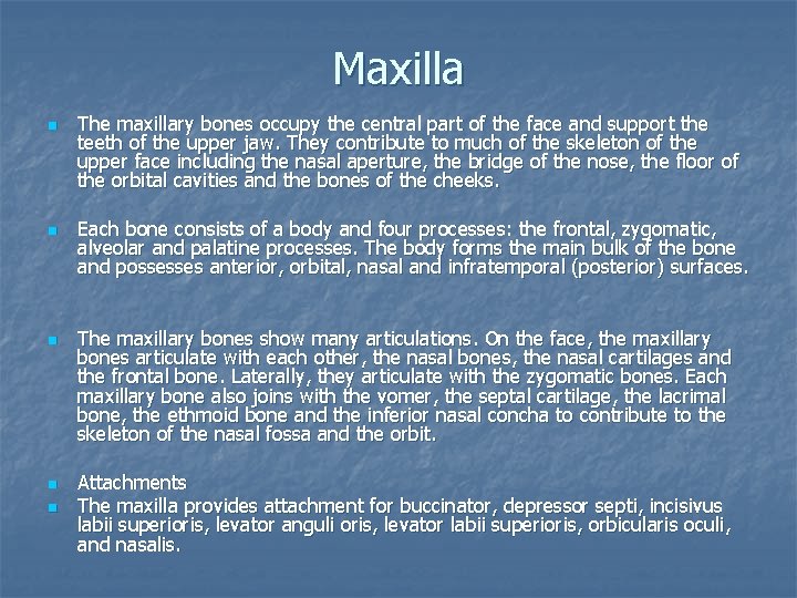 Maxilla n n n The maxillary bones occupy the central part of the face