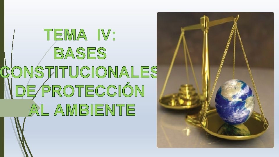 TEMA IV: BASES CONSTITUCIONALES DE PROTECCIÓN AL AMBIENTE 
