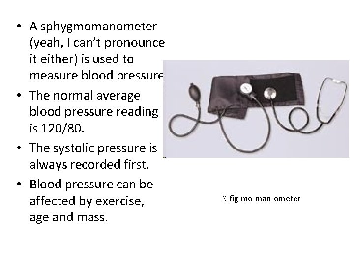  • A sphygmomanometer (yeah, I can’t pronounce it either) is used to measure