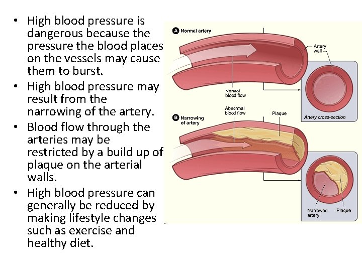 • High blood pressure is dangerous because the pressure the blood places on