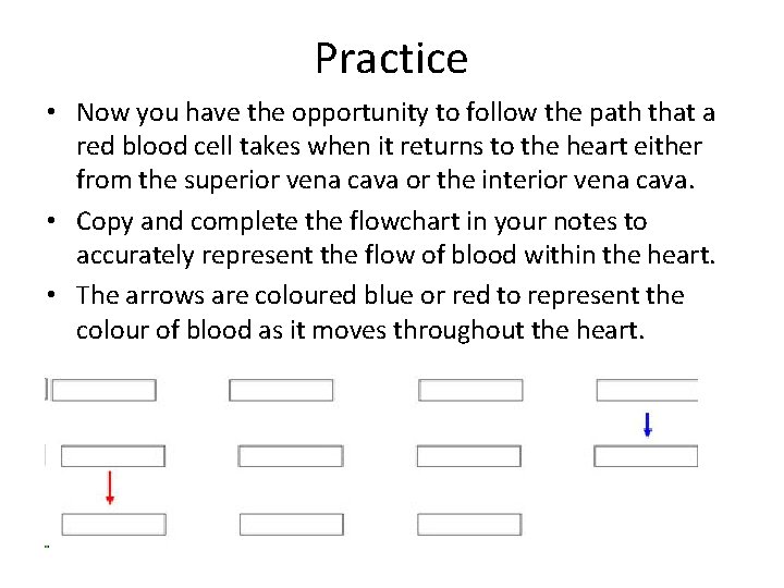 Practice • Now you have the opportunity to follow the path that a red
