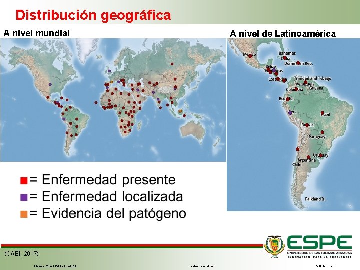 Distribución geográfica A nivel mundial A nivel de Latinoamérica (CABI, 2017) FECHA ÚLTIMA REVISIÓN:
