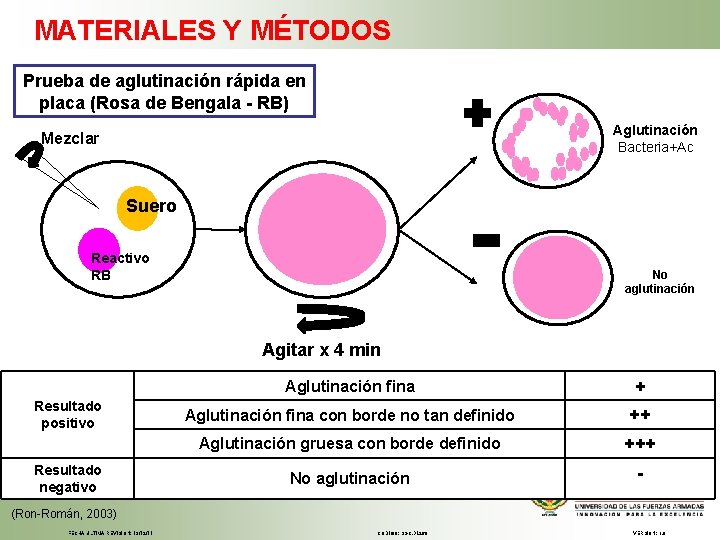 MATERIALES Y MÉTODOS Prueba de aglutinación rápida en placa (Rosa de Bengala - RB)