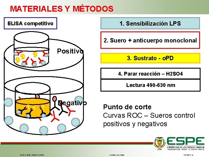 MATERIALES Y MÉTODOS 1. Sensibilización LPS ELISA competitivo 2. Suero + anticuerpo monoclonal Positivo