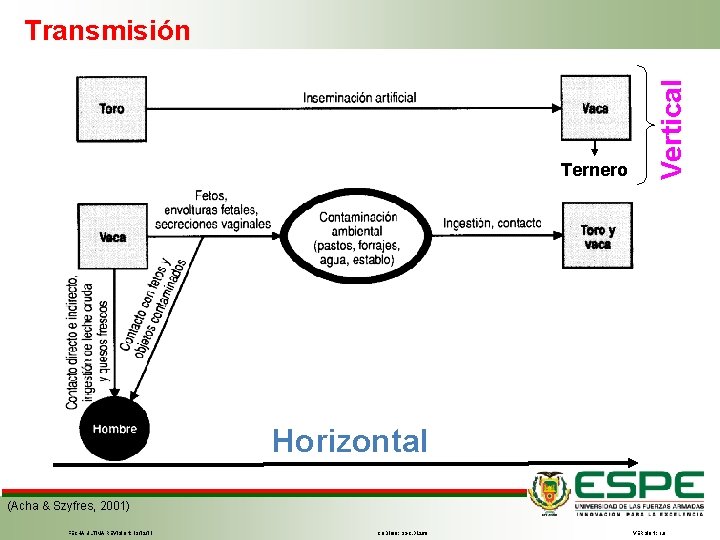 Ternero Vertical Transmisión Horizontal (Acha & Szyfres, 2001) FECHA ÚLTIMA REVISIÓN: 13/12/11 CÓDIGO: SGC.