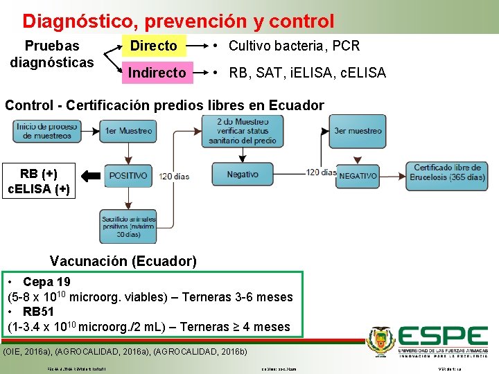 Diagnóstico, prevención y control Pruebas diagnósticas Directo • Cultivo bacteria, PCR Indirecto • RB,