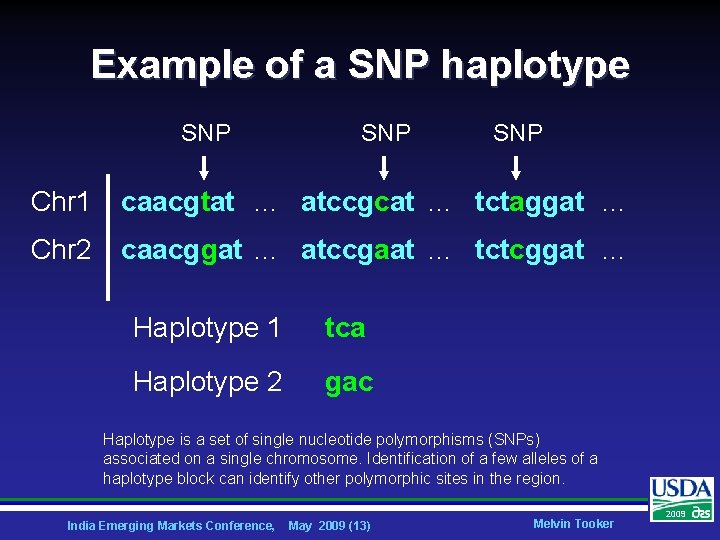 Example of a SNP haplotype SNP SNP Chr 1 caacgtat … atccgcat … tctaggat