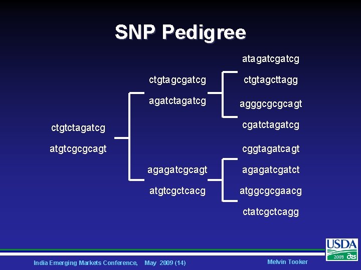 SNP Pedigree atagatcg ctgtagcgatcg ctgtagcttagg agatctagatcg agggcgcgcagt ctgtctagatcg cgatctagatcg atgtcgcgcagt cggtagatcagt agagatcgatct atgtcgctcacg atggcgcgaacg