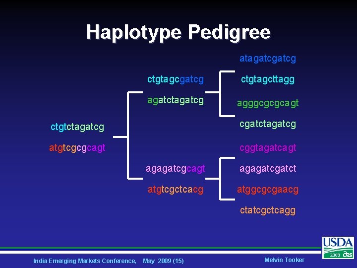 Haplotype Pedigree atagatcg ctgtagcgatcg ctgtagcttagg agatctagatcg agggcgcgcagt ctgtctagatcg cgatctagatcg atgtcgcgcagt cggtagatcagt agagatcgatct atgtcgctcacg atggcgcgaacg