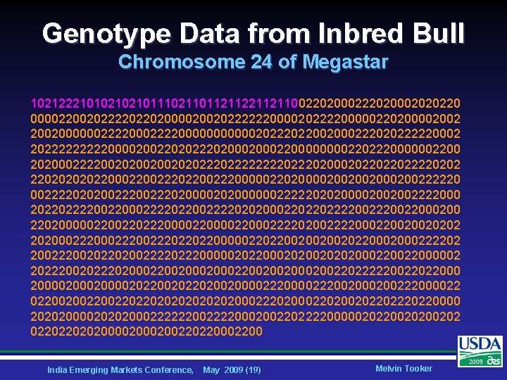 Genotype Data from Inbred Bull Chromosome 24 of Megastar 1021222101021021011102110112112110022020002020220 000022002022220220200002002022222200002022220000022020000200200000022220000002022002000222020222220002 2022222000020022020222020002200002202220000002200 2020002222002002020222222220200020220220222202022000222022002220000022020000200200200222220 0022220202002220200000022222020200002002002222000