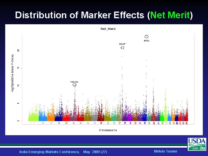 Distribution of Marker Effects (Net Merit) India Emerging Markets Conference, May 2009 (27) Melvin