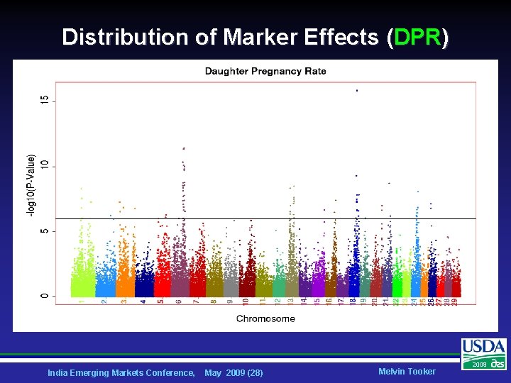 Distribution of Marker Effects (DPR) India Emerging Markets Conference, May 2009 (28) Melvin Tooker