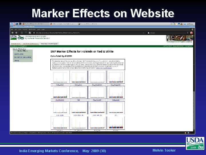 Marker Effects on Website India Emerging Markets Conference, May 2009 (30) Melvin Tooker 2009