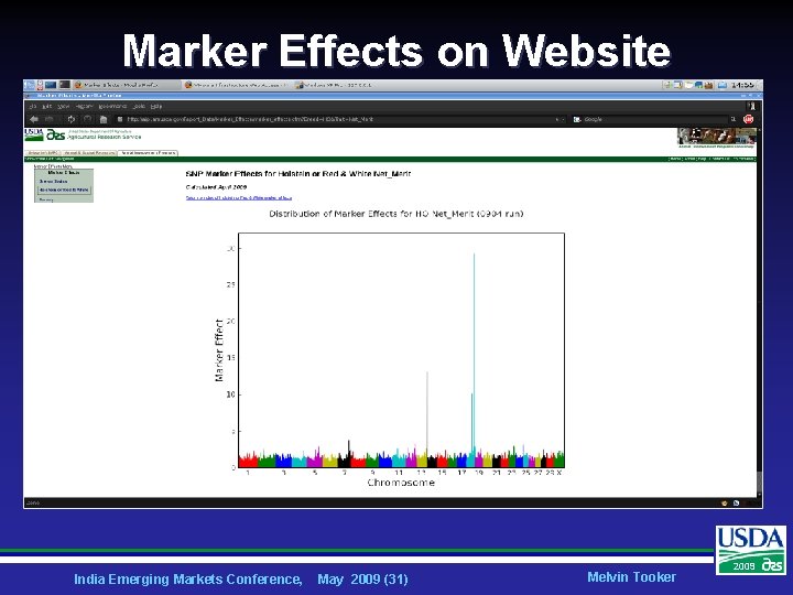 Marker Effects on Website India Emerging Markets Conference, May 2009 (31) Melvin Tooker 2009