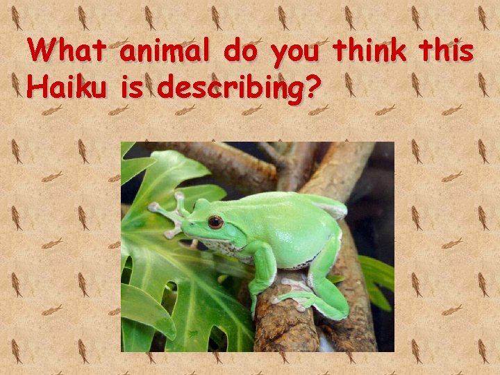 What animal do you think this Haiku is describing? 