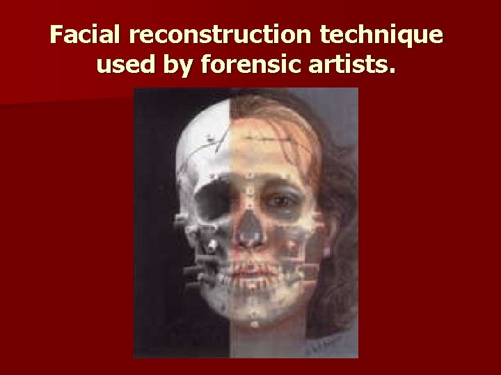 Facial reconstruction technique used by forensic artists. 