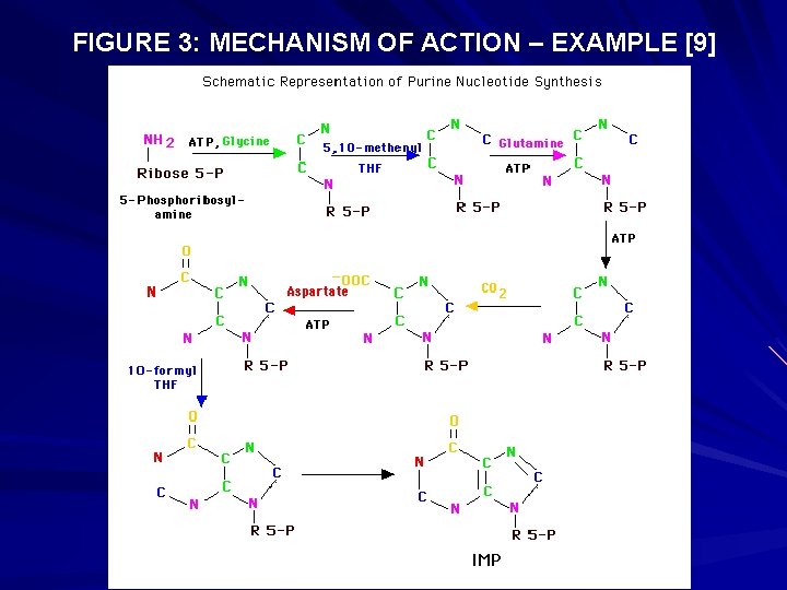 FIGURE 3: MECHANISM OF ACTION – EXAMPLE [9] 