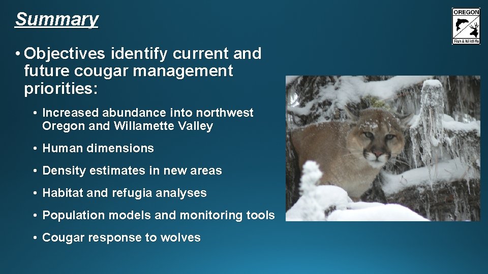 Summary • Objectives identify current and future cougar management priorities: • Increased abundance into