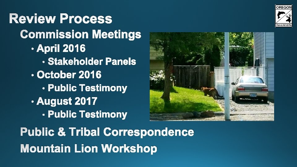 Review Process Commission Meetings • April 2016 • • October 2016 • • Stakeholder