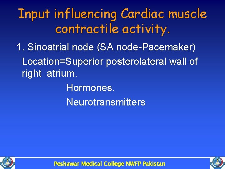 Input influencing Cardiac muscle contractile activity. 1. Sinoatrial node (SA node-Pacemaker) Location=Superior posterolateral wall