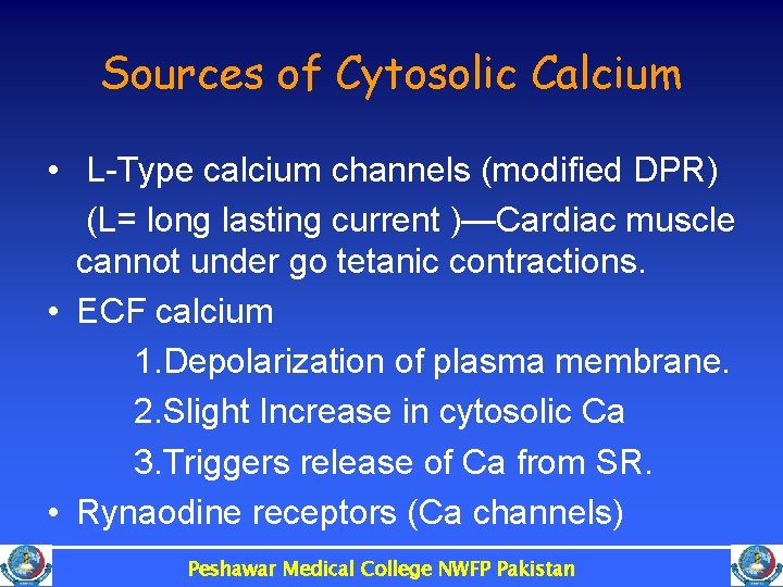 Sources of Cytosolic Calcium • L-Type calcium channels (modified DPR) (L= long lasting current