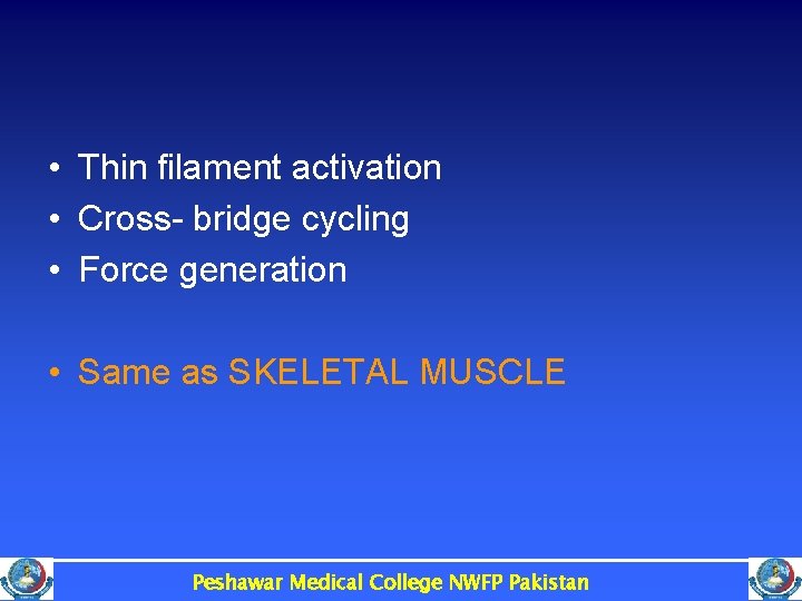  • Thin filament activation • Cross- bridge cycling • Force generation • Same