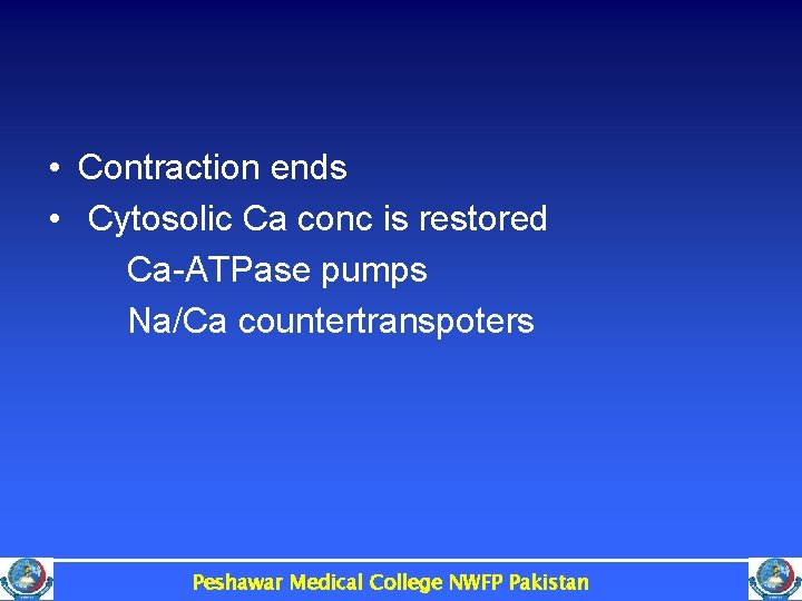  • Contraction ends • Cytosolic Ca conc is restored Ca-ATPase pumps Na/Ca countertranspoters