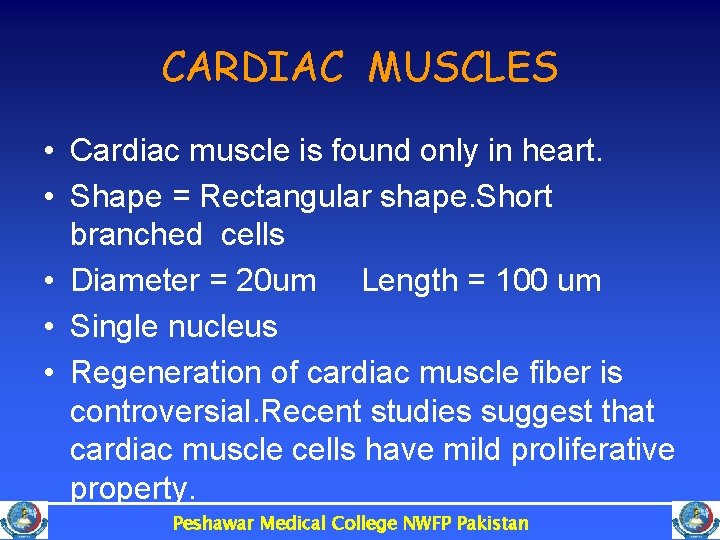 CARDIAC MUSCLES • Cardiac muscle is found only in heart. • Shape = Rectangular