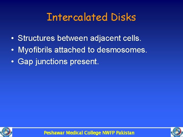 Intercalated Disks • Structures between adjacent cells. • Myofibrils attached to desmosomes. • Gap