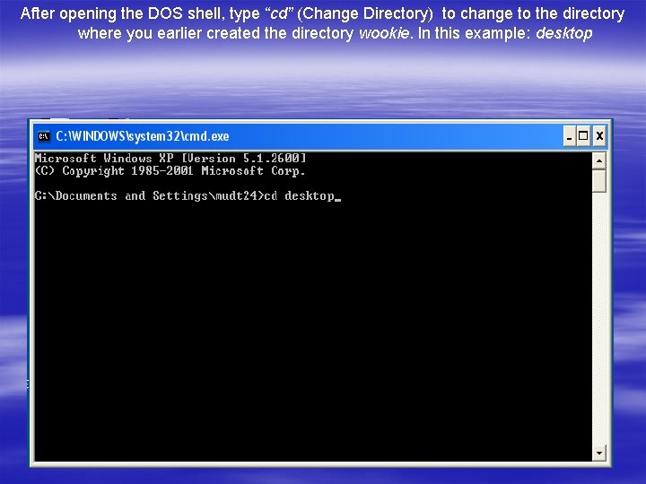 After opening the DOS shell, type “cd” (Change Directory) to change to the directory