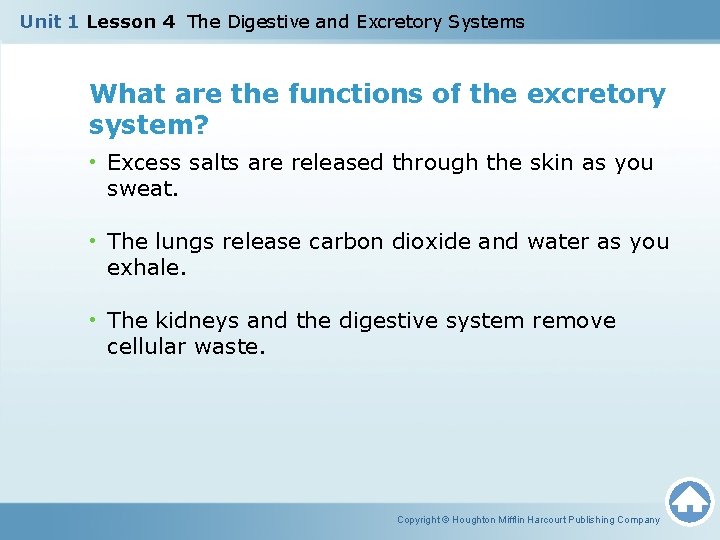 Unit 1 Lesson 4 The Digestive and Excretory Systems What are the functions of