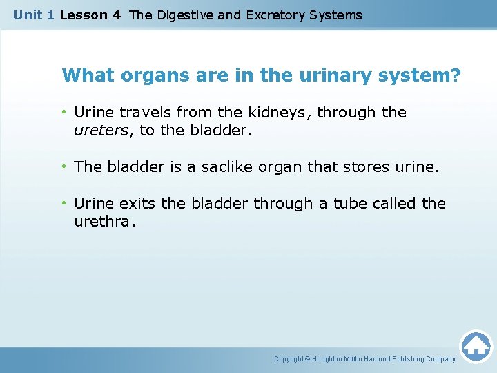 Unit 1 Lesson 4 The Digestive and Excretory Systems What organs are in the
