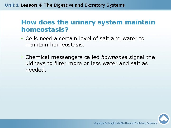 Unit 1 Lesson 4 The Digestive and Excretory Systems How does the urinary system