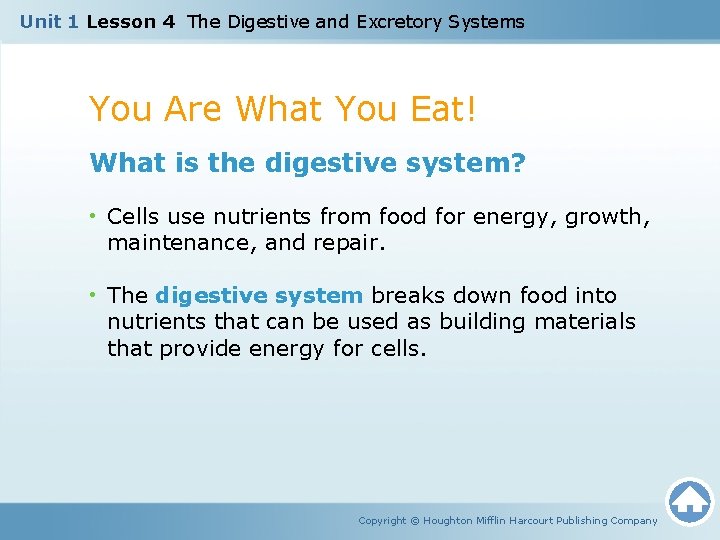 Unit 1 Lesson 4 The Digestive and Excretory Systems You Are What You Eat!