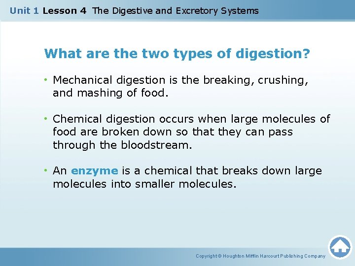 Unit 1 Lesson 4 The Digestive and Excretory Systems What are the two types