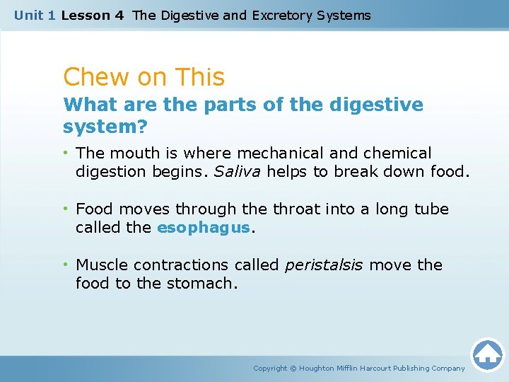 Unit 1 Lesson 4 The Digestive and Excretory Systems Chew on This What are