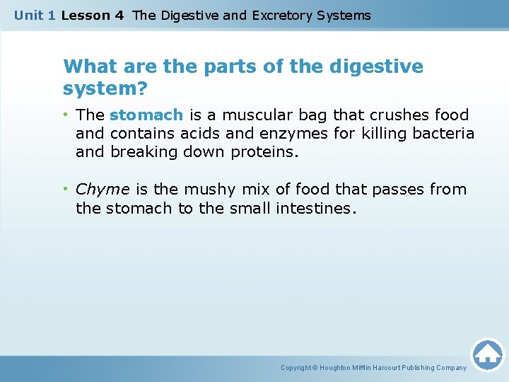 Unit 1 Lesson 4 The Digestive and Excretory Systems What are the parts of