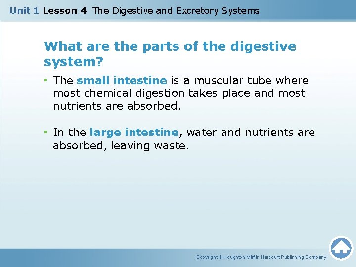 Unit 1 Lesson 4 The Digestive and Excretory Systems What are the parts of