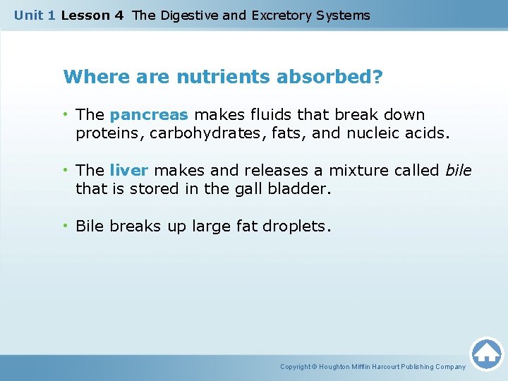 Unit 1 Lesson 4 The Digestive and Excretory Systems Where are nutrients absorbed? •