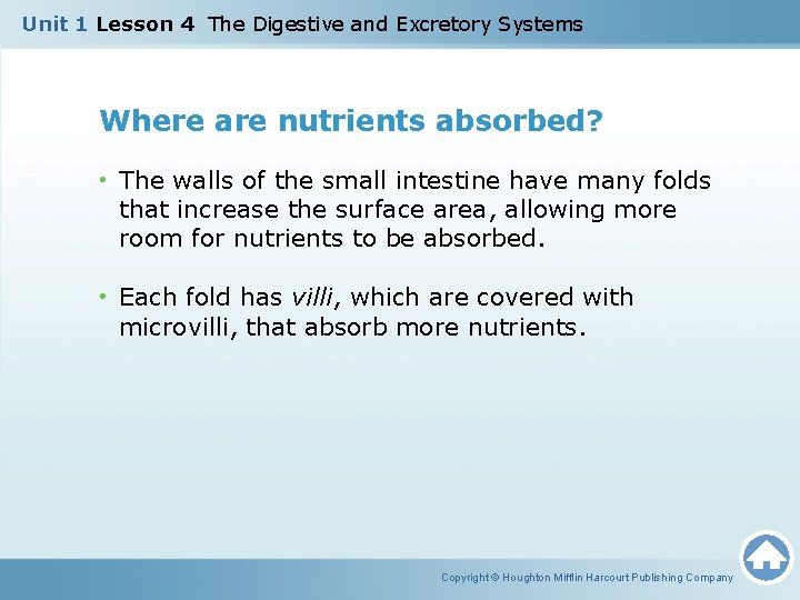 Unit 1 Lesson 4 The Digestive and Excretory Systems Where are nutrients absorbed? •