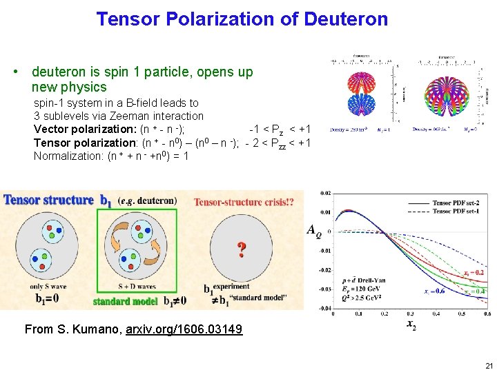 Tensor Polarization of Deuteron • deuteron is spin 1 particle, opens up new physics
