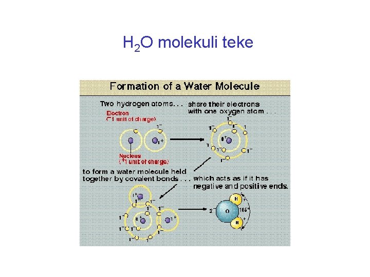 H 2 O molekuli teke 