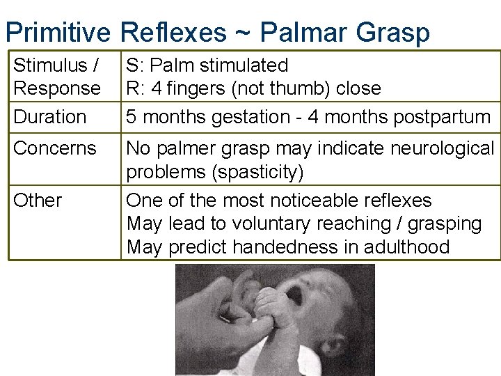 Primitive Reflexes ~ Palmar Grasp Stimulus / Response Duration S: Palm stimulated R: 4 Primitive Reflexes ~ Palmar Grasp Stimulus / Response Duration S: Palm stimulated R: 4