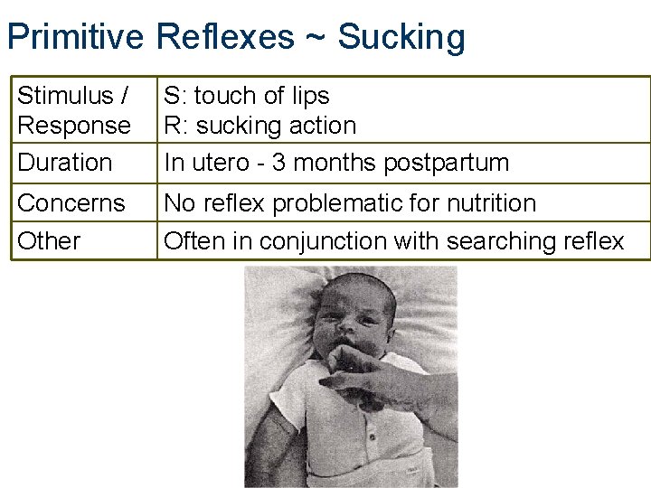 Primitive Reflexes ~ Sucking Stimulus / Response Duration S: touch of lips R: sucking Primitive Reflexes ~ Sucking Stimulus / Response Duration S: touch of lips R: sucking
