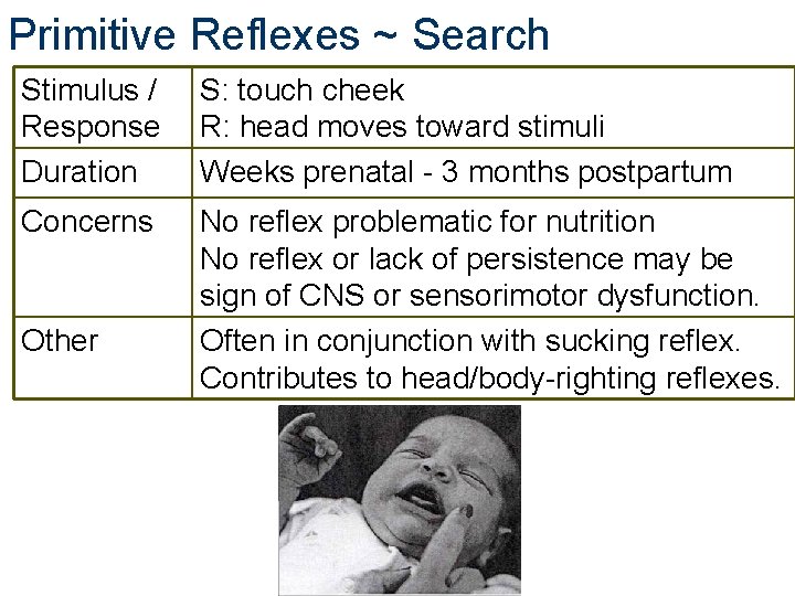 Primitive Reflexes ~ Search Stimulus / Response Duration S: touch cheek R: head moves Primitive Reflexes ~ Search Stimulus / Response Duration S: touch cheek R: head moves
