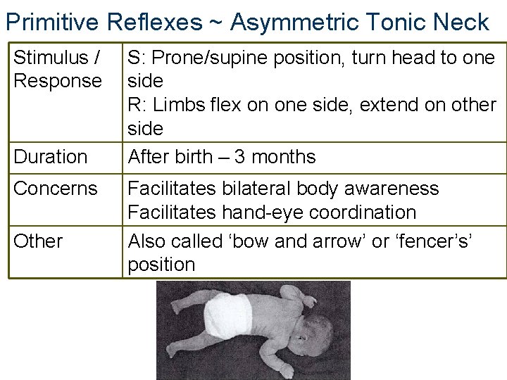 Primitive Reflexes ~ Asymmetric Tonic Neck Stimulus / Response Duration Concerns Other S: Prone/supine Primitive Reflexes ~ Asymmetric Tonic Neck Stimulus / Response Duration Concerns Other S: Prone/supine