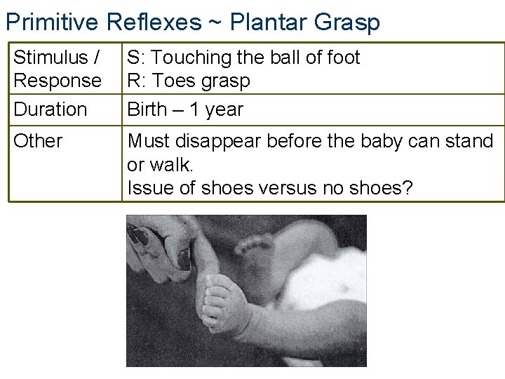 Primitive Reflexes ~ Plantar Grasp Stimulus / Response Duration S: Touching the ball of Primitive Reflexes ~ Plantar Grasp Stimulus / Response Duration S: Touching the ball of